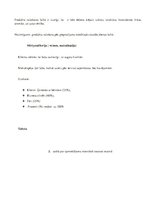 Biznesa plāns 'Viesnīcas restorāna vasaras āra terases paplašināšana', 13.