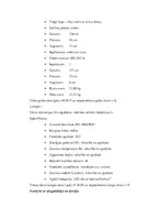 Biznesa plāns 'Viesnīcas restorāna vasaras āra terases paplašināšana', 23.