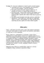 Referāts 'Mārketinga plāna sagatavošana', 11.