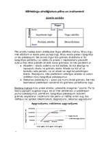 Referāts 'Mārketinga plāna sagatavošana', 13.