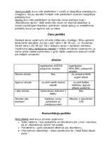 Referāts 'Mārketinga plāna sagatavošana', 15.