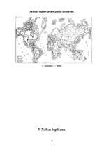 Referāts 'Nafta', 6.