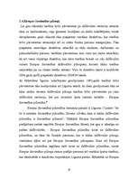 Referāts 'Brīvas personu kustības tiesiskais regulējums', 18.