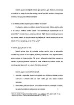 Konspekts 'Politiskās partijas un interešu grupas. Pilsoniskā sabiedrība', 4.