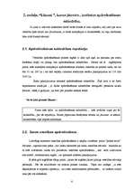 Referāts 'Apdrošināšana', 6.