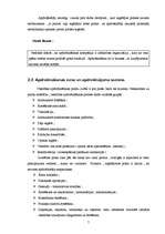 Referāts 'Apdrošināšana', 7.