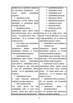 Referāts 'Apdrošināšana', 13.