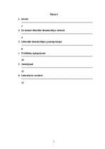 Referāts 'Liberālās demokrātijas mūsdienu problēmas', 2.