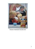 Referāts 'Piens', 22.