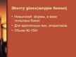 Prezentācija 'Инвентарь бара. Барная стеклянная посуда', 12.