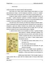 Referāts 'Portugāles vēsture', 2.