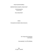 Referāts 'Pirmā pasaules kara sabiedroto mērķu raksturojums', 1.