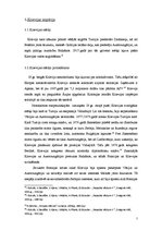 Referāts 'Pirmā pasaules kara sabiedroto mērķu raksturojums', 7.