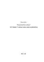 Referāts 'SIA “Celtnieks S” vadīšanas sistēmas analīze un pilnveidošana', 1.