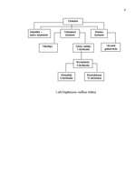 Referāts 'SIA “Celtnieks S” vadīšanas sistēmas analīze un pilnveidošana', 6.