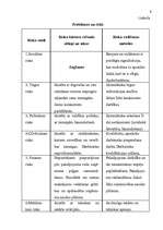 Referāts 'SIA “Celtnieks S” vadīšanas sistēmas analīze un pilnveidošana', 9.