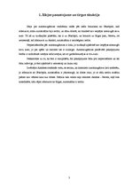 Biznesa plāns 'Automazgātava "Pureza - Belleza"', 3.