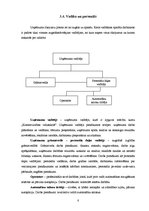 Biznesa plāns 'Automazgātava "Pureza - Belleza"', 8.