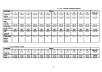 Biznesa plāns 'Automazgātava "Pureza - Belleza"', 14.