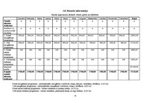 Biznesa plāns 'Automazgātava "Pureza - Belleza"', 16.