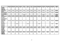 Biznesa plāns 'Automazgātava "Pureza - Belleza"', 17.