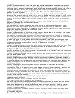 Eseja 'Virtual Vineyards Marketing Report', 2.