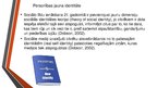 Referāts 'Jaunas identitātes iespējas globalizācijas apstākļos', 5.