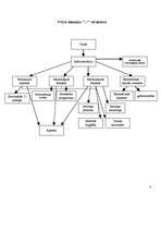 Referāts 'Personāla vadības organizatoriskās metodes VSIA slimnīcā "Gintermuiža"', 4.