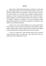 Referāts 'Ēdienu gatavošanai izmantojamās izejvielas', 3.