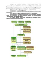 Konspekts 'Ietekmes uz vidi novērtējums, tā procedūra un iesaistītās puses', 3.