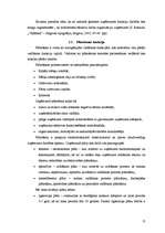 Diplomdarbs 'Vadības funkciju realizācija uzņēmumā SIA "Baltrotors"', 12.