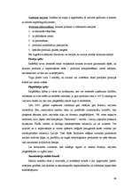 Diplomdarbs 'Vadības funkciju realizācija uzņēmumā SIA "Baltrotors"', 46.