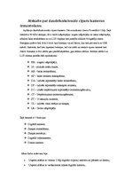 Prakses atskaite 'Atskaites', 3.