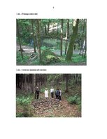 Referāts 'Pokaiņu mežs', 8.