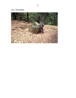 Referāts 'Pokaiņu mežs', 9.