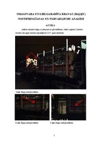 Konspekts 'Smagsvara un lielgabarīta kravas (baļķu) nostiprināšanas un pārvadājumu analīze', 2.