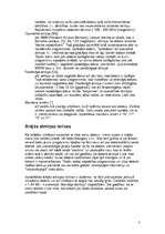 Referāts 'Datorzinības', 3.