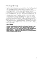 Referāts 'Datorzinības', 7.