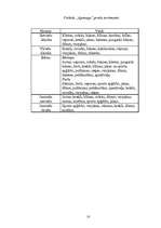 Prakses atskaite 'SIA "Apranga"', 10.