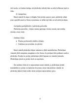 Prakses atskaite 'SIA "Apranga"', 17.