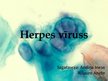 Prezentācija 'Herpes vīruss', 1.