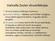 Prezentācija 'Herpes vīruss', 14.