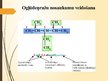 Prezentācija 'Piesaitinātie ogļūdeņraži', 9.