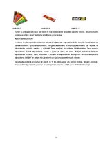 Referāts 'Sportista uztura nozīme rezultātu sasniegšanā', 16.