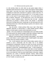 Referāts 'Sportista uztura nozīme rezultātu sasniegšanā', 19.