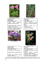 Paraugs 'Īpaši aizsargājamās dabas teritorijas Latvijā. Latvijas Sarkanā grāmata', 10.