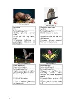 Paraugs 'Īpaši aizsargājamās dabas teritorijas Latvijā. Latvijas Sarkanā grāmata', 12.