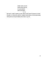 Referāts 'Vērtības Aspazijas bērnu dzejā', 20.