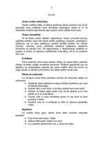 Referāts 'Runas veidošanas tehnoloģija', 1.