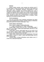 Referāts 'Runas veidošanas tehnoloģija', 2.